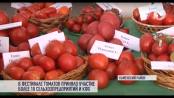 «Томатный фестиваль» в Каменском районе