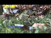 ВОВРЕМЯ - 17/11/14