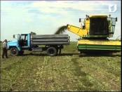 С ДНЕМ РОЖДЕНИЯ, РЕСПУБЛИКА! Пётр Мустя