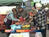 Программа "Вовремя" 12/11/13