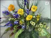 В Дубоссарах появился цветочный рай