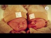 Утро. Lite / История фотографии: фотограф Анне Геддес