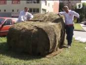 Программа «Дайте жалобную книгу» (от 14.01.2013)