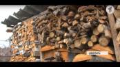 Дубоссары: дрова для нуждающихся
