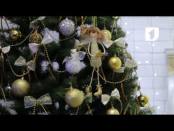 Ролик "Я иду к вам. Новый 2017 год". №7