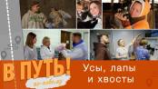 В путь! По-новому. Усы, лапы и хвосты - 23/11/23