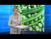 ВЧАСНО - 05/06/14