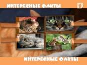 Программа "Утренний кофе" 20/05/13