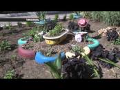 Программа "Дайте жалобную книгу" 7/07/14