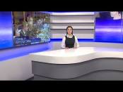 Программа "Вовремя. Итоги недели" - 29/01/17