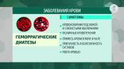 Здравствуйте / Заболевания крови. Классификация