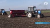 В Каменском районе начат сев зернобобовых культур