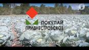 Ролик "Покупай Приднестровское!" №1