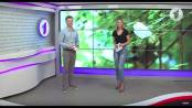 Программа "Доброе утро, Приднестровье!" - 05/09/18