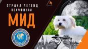 МИД ПМР. Полуфинальный раунд. Страна легенд