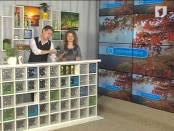 Программа "Утренний эфир" 28/11/13