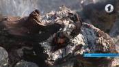 В республике горит сухостой