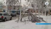 Природные аномалии. Что ждать Приднестровью?