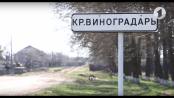 Анонс программы "В путь!" с. Красный Виноградарь / Утренний эфир