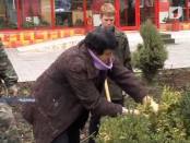 ЛА ТИМП 28/03/14