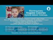 Маленький Андрей Соколан нуждается в помощи