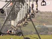 Программа "Вовремя" 1/07/13