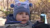 ВЧАСНО - 17/11/15