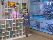 Программа "Утренний эфир" 12/02/14