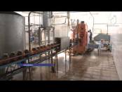 На Каменском консервном заводе начался розлив натурального осветленного яблочного сока