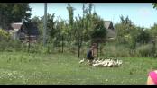 День в деревне / Доброе утро, Приднестровье!
