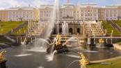 Что? Откуда? Почему? О чудо-фонтанах Петергофа, суккулентах и фазанах