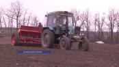 В Каменском районе начался сев яровых