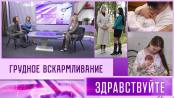 Грудное вскармливание. Программа «Здравствуйте» - 24/11/24