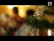 Проект «Вне закона» (от 10.01.2013)