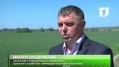 Программа "Гектар". Неэффективное использование земель - 25/04/16