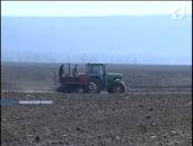 В Каменском районе начат сев зеленого горошка