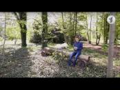 Утро. Lite / «100 страниц: «Моя семья и другие звери»