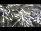 Программа "Утренний эфир" - 30/12/14
