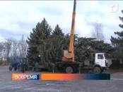 В Тирасполе установили новогоднюю ёлку
