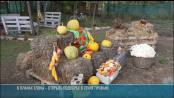 Французский Прованс – на даче у Елены Дулгерь