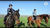 Программа "В движении". Конный спорт - 23/04/18