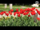 Утренний эфир - 25/04/14