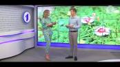 Программа "Доброе утро, Приднестровье!" - 22/08/18