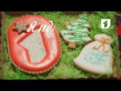 Ролик "Я иду к вам. Новый 2017 год". №8