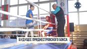 Будущее приднестровского бокса и истории чемпионов