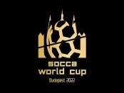 Чемпионат мира по сокке: финал