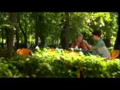 Предсказание 2011