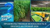 Продовольственная безопасность и прогноз на урожай-2026. Вопрос дня - 24/06/26