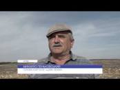 ВЧАСНО - 1/02/16