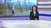 ВЧАСНО - 19/05/15